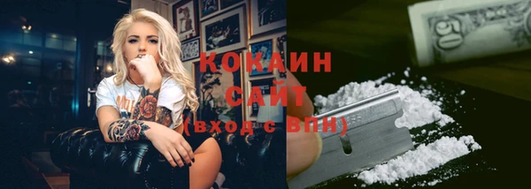 гашик Богородск