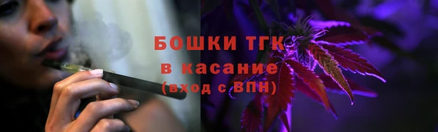 гашик Богородск