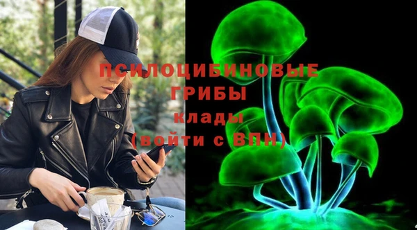 гашик Богородск