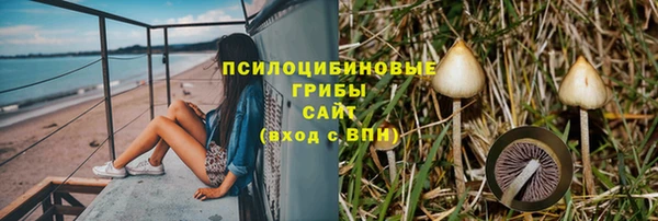 трава Белокуриха