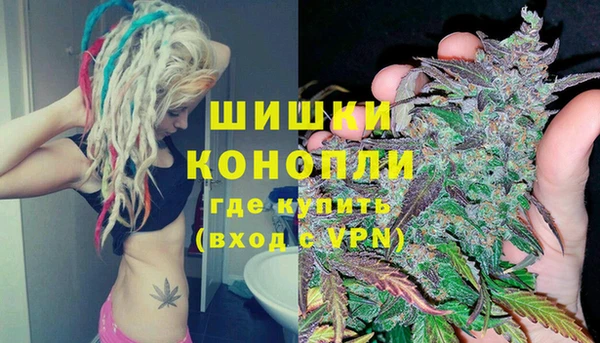 прущий лед Богданович