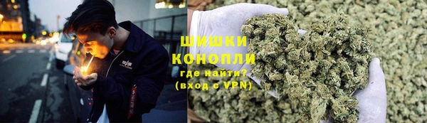дурь Богородицк