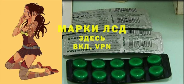 трава Белокуриха