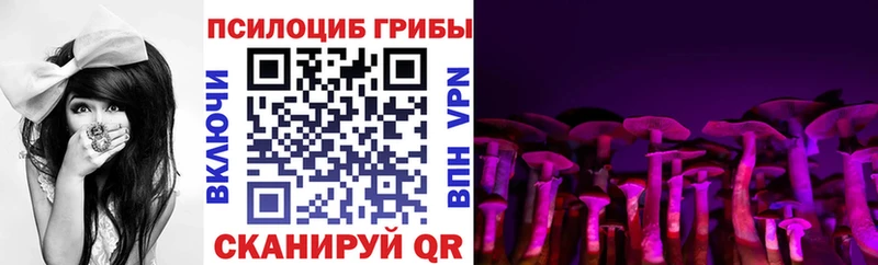 ОМГ ОМГ tor Кизел Псилоцибиновые грибы прущие грибы